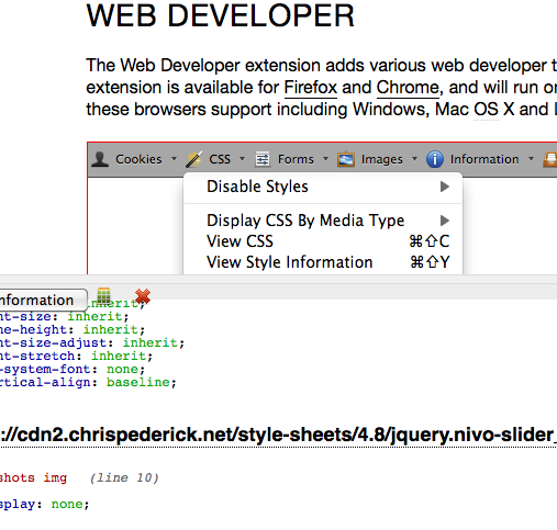 'View Style Information' result from Web Developer Extension