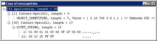 ASN.1 structure as shown in BER viewer