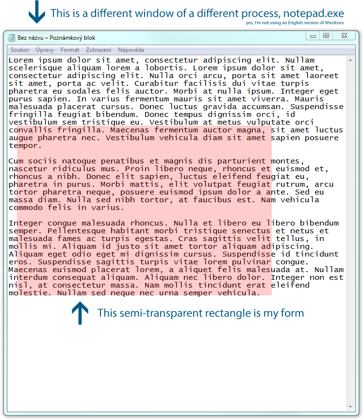 the form as it currently appears on top of Notepad