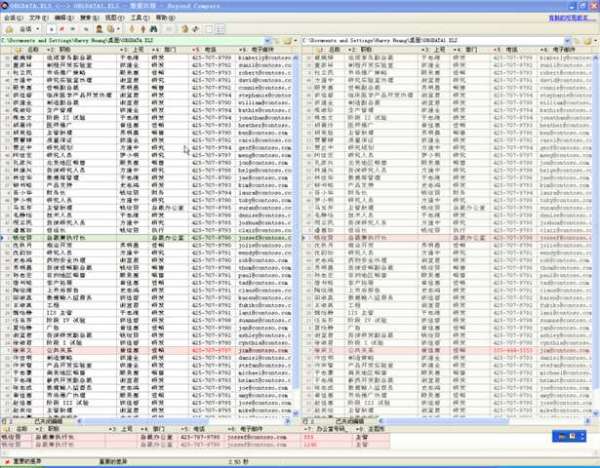 Beyond Compare - comparing two excel files (Chinese)