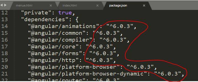 check the angular version on pakage.json file