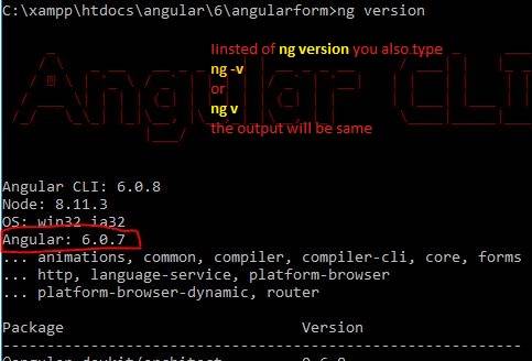 check the angular version using comand line
