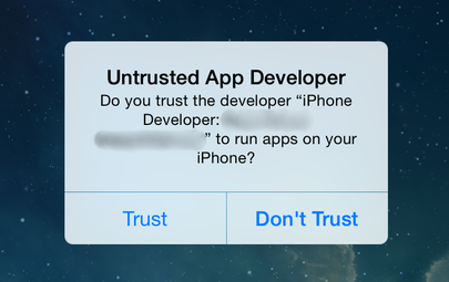 Trust this developer?