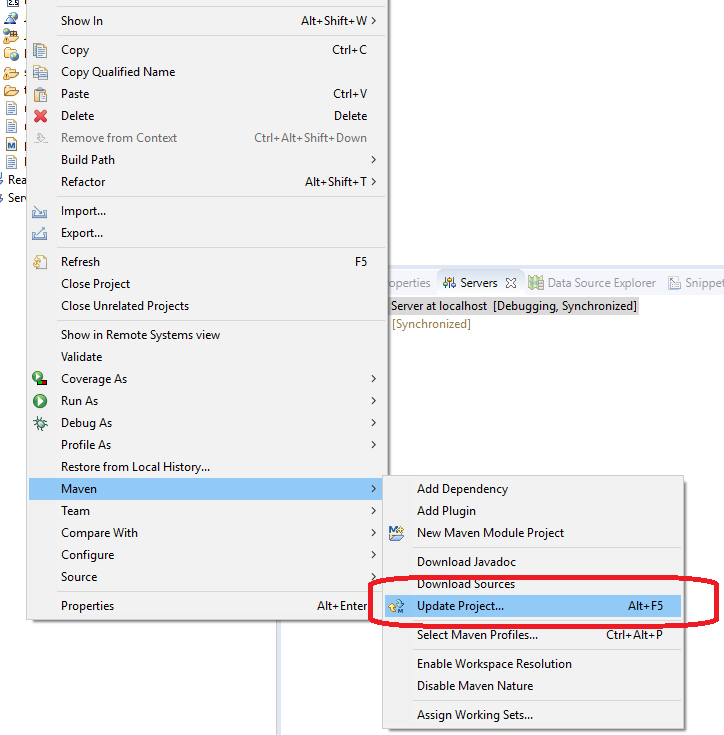 maven -> update project