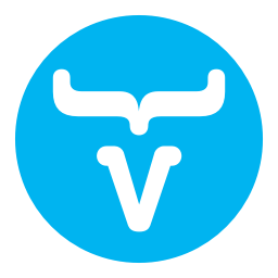 Vaadin logo favicon provided by default in a configured project