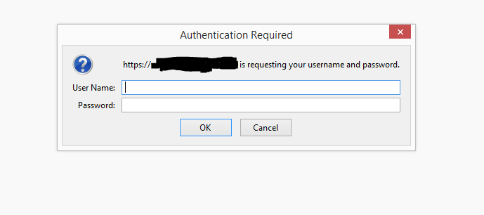 Authentication Window