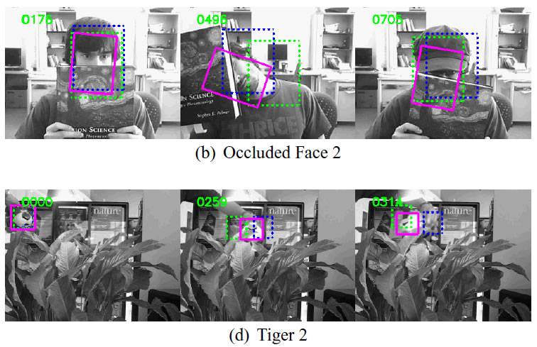 partial occlusion