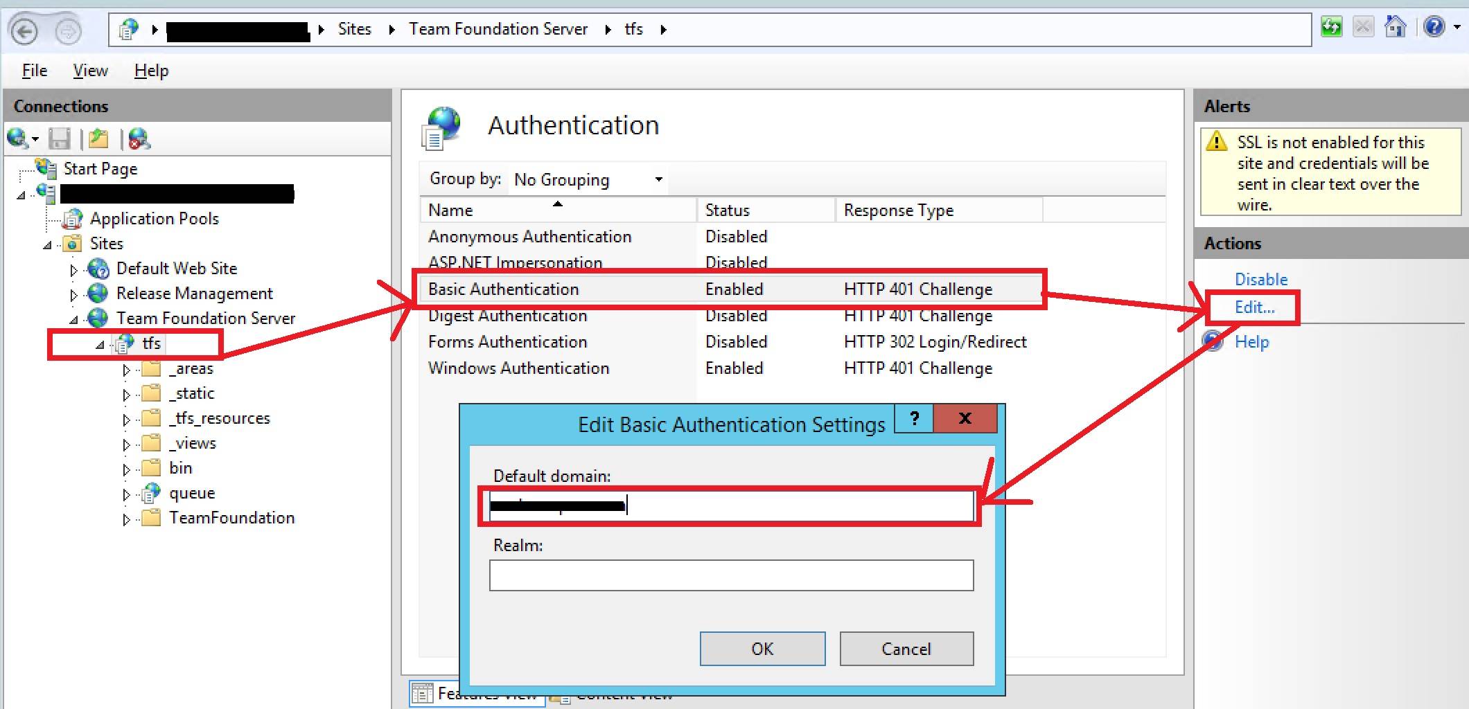 enabling basic auth and setting domain