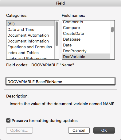 Insert DocVariable Field