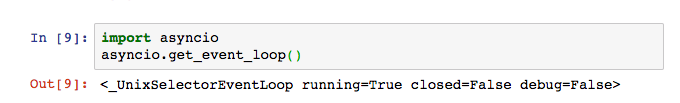Jupyter Notebook output of <code>get_event_loop()</code>
