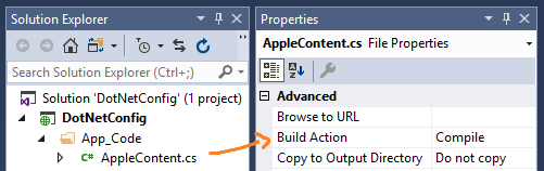 Build Action and Copy Output