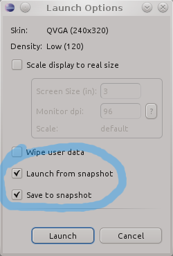 Ensure launch and save snapshot are checked when launching