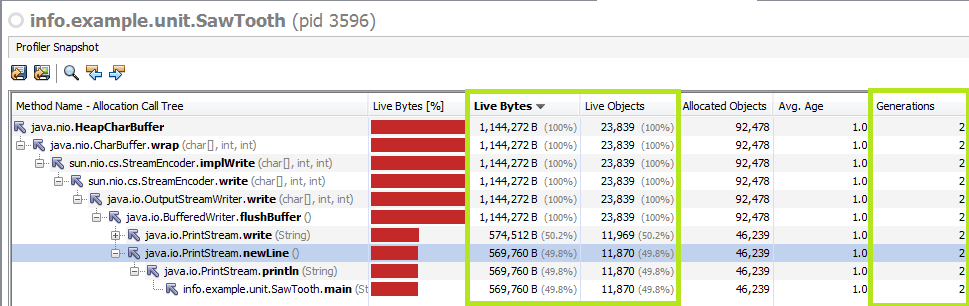 Visual VM - Memory snapshot