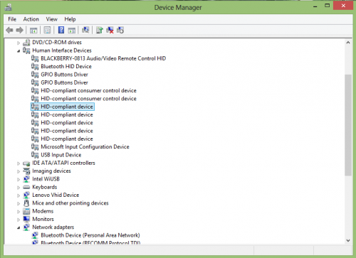 A screenshot of the Windows Device Manager, looking at the Human Interface Devices section